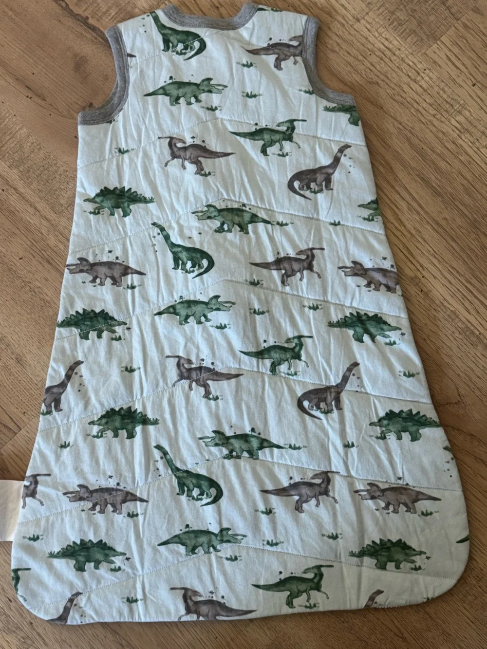 Burt’s Bees Baby Beekeeper Dinosaur Sleep Sack Wearable Blanket 0-6M Small